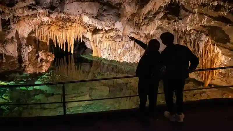 Salta La Coda Biglietto D'ingresso Oscuro Alla Grotte De Baume